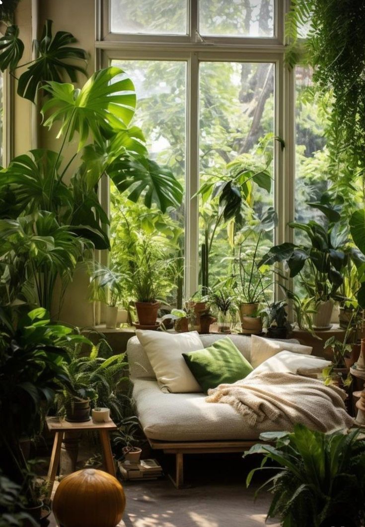 Lush indoor plants, evoking Leela Carter's love of nature and her quiet, rooted life
